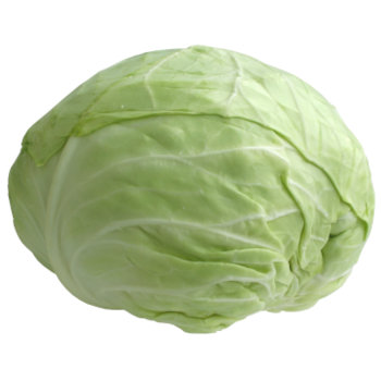 Cabbage - Fresh Vegetables 