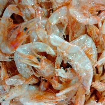 Shrimps Dried